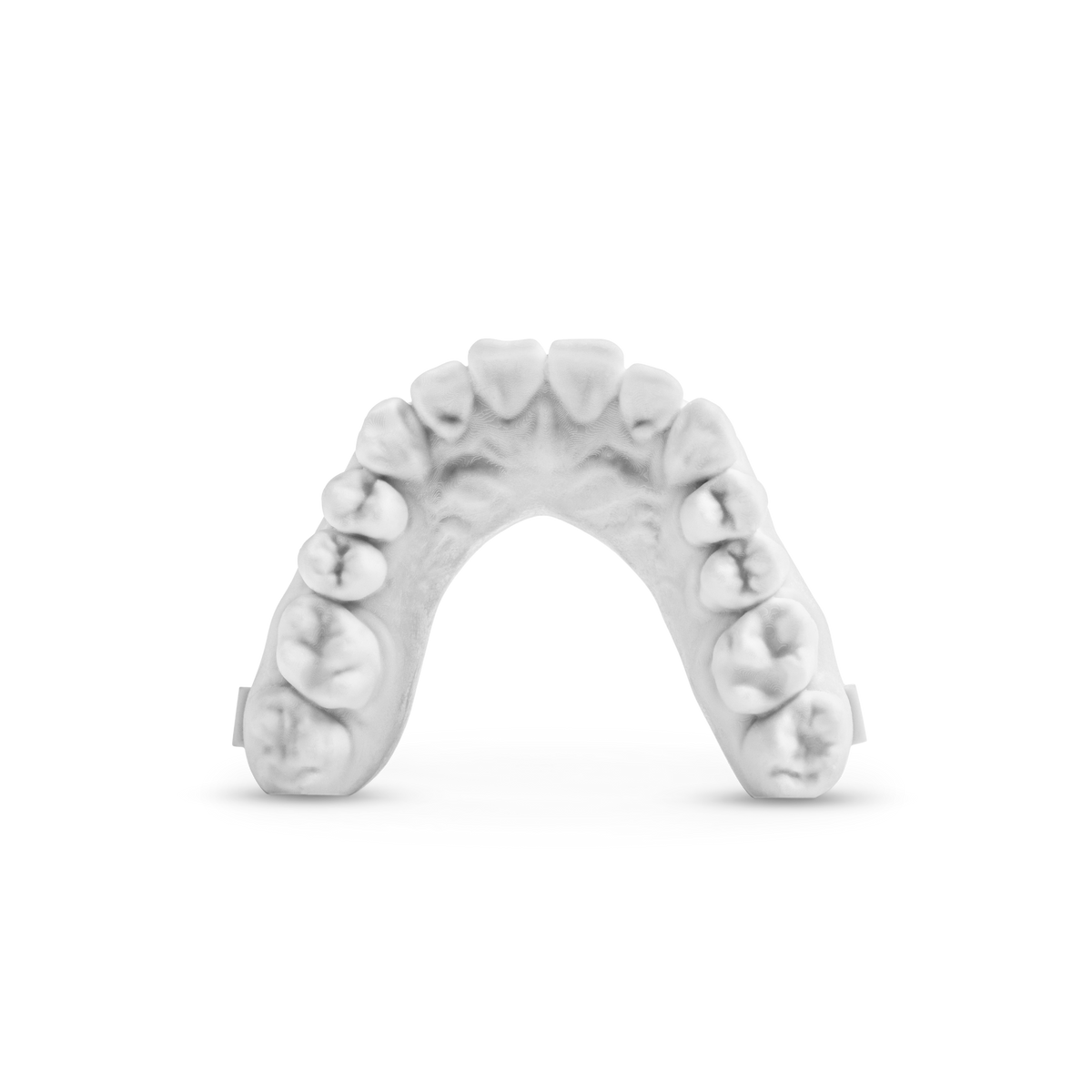3D Printed Model 1